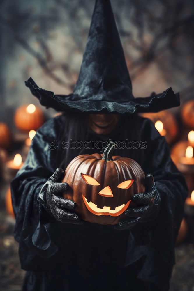 Similar – Image, Stock Photo Best Friends Pumpkin