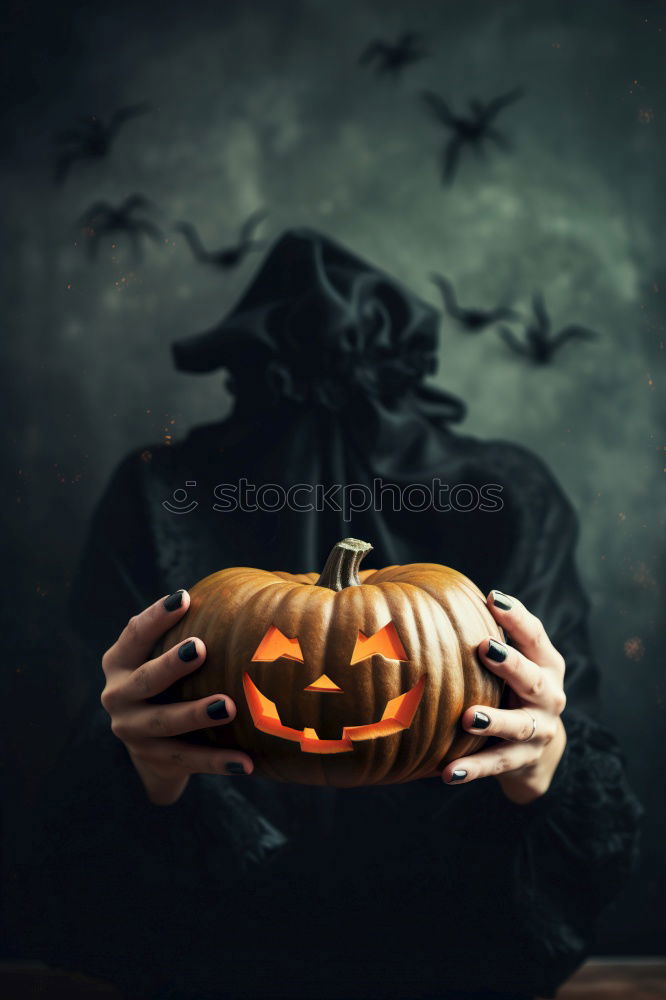 Similar – Image, Stock Photo Best Friends Pumpkin