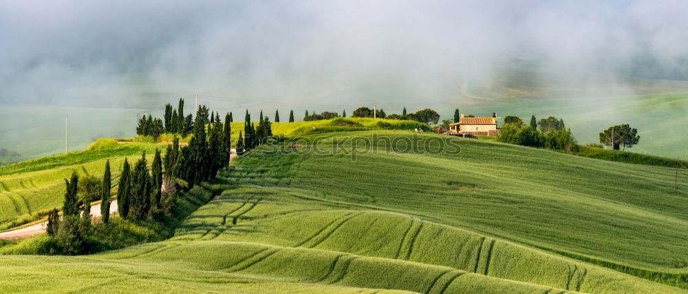 Similar – Image, Stock Photo Green spring landscape of Tuscany, Italy.