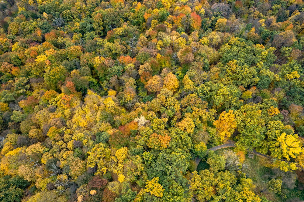 Similar – Schduagerter Landschaft