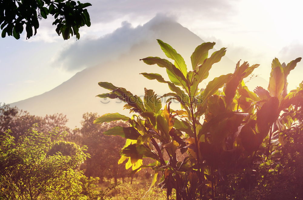 Image, Stock Photo Volcano Arenal Costa Rica