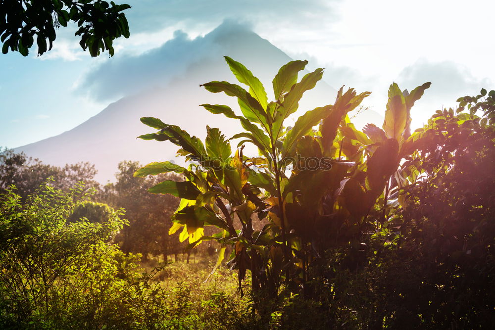 Similar – Image, Stock Photo Volcano Arenal Costa Rica