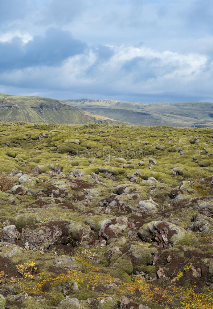 Similar – Foto Bild Aufforstung Landschaft