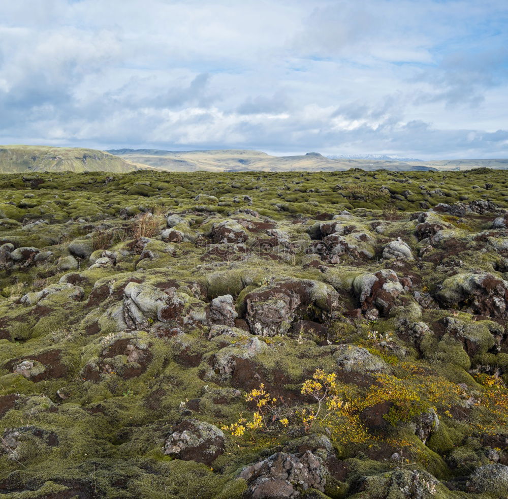 Similar – Image, Stock Photo Summer at the Barents Sea