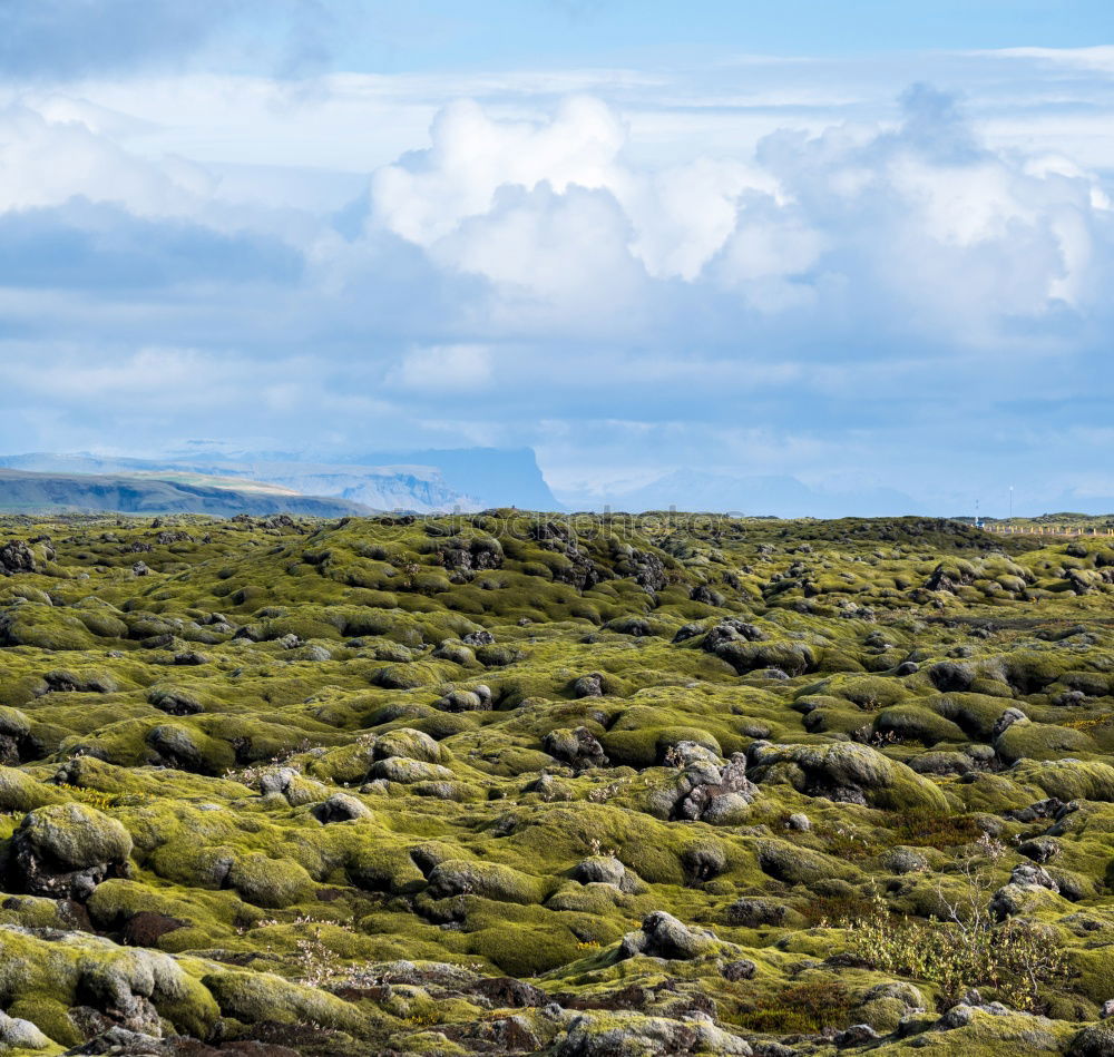 Similar – dune landscape Nature