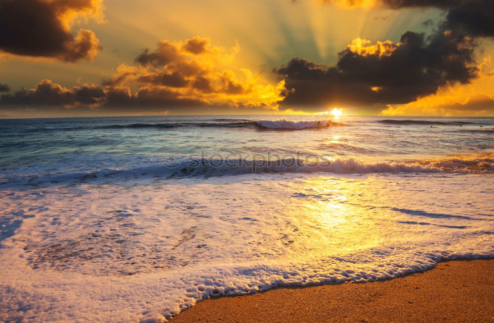 Similar – Image, Stock Photo Sunset with surfer backlit on sandy beach in Azores