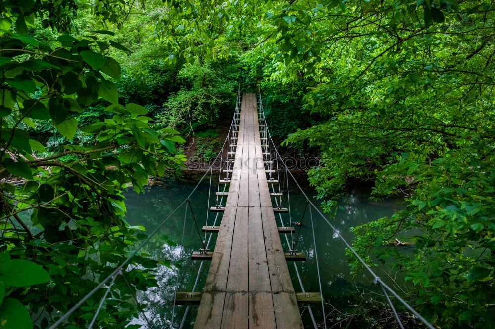 Similar – Hängebrücke zwischen zwei grossen Bäumen, Amazonasbecken, Peru, Südamerika