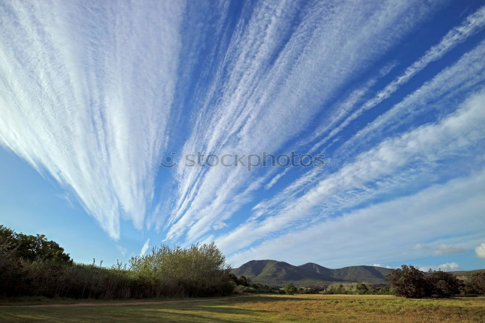 Similar – joshua tree wolken Natur