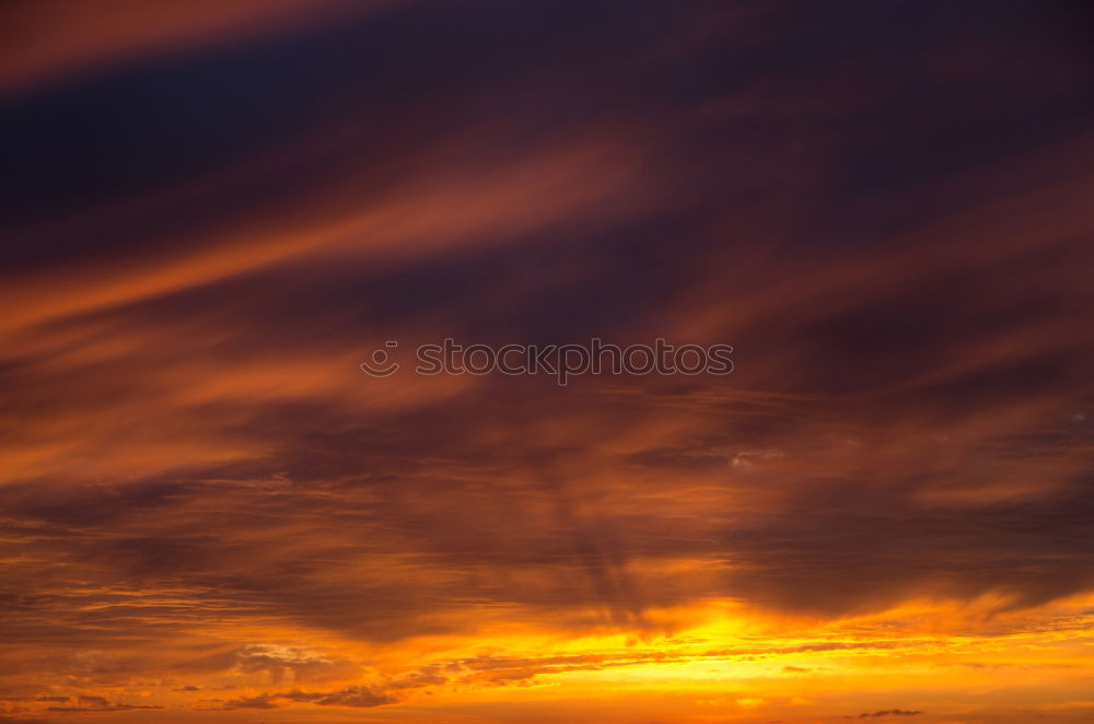 Similar – Image, Stock Photo thanks for pollution