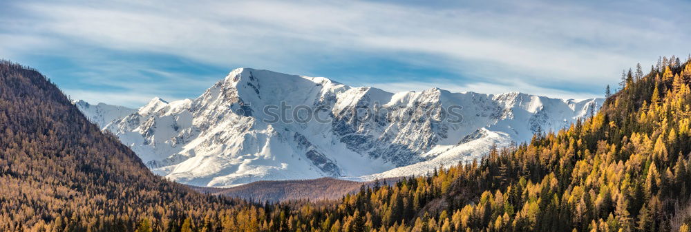 Similar – Image, Stock Photo Winter magic in Bohemian Switzerland