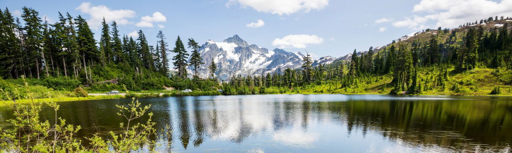 Similar – outflow Lake Forest Tree