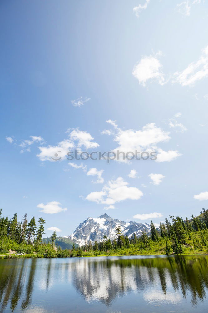 Similar – forest bath Nature Horizon