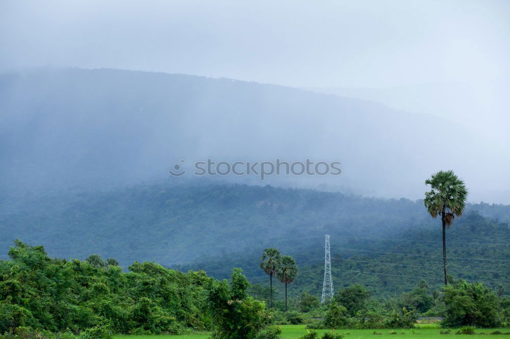 Similar – Image, Stock Photo Bowling green English