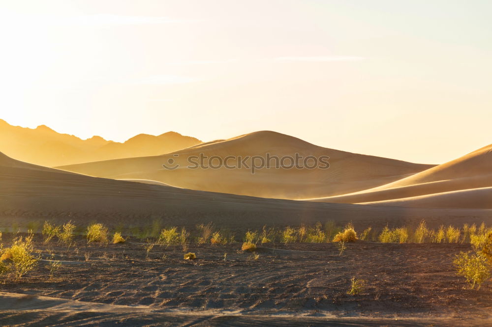 Similar – Image, Stock Photo #AS# Traveller Art