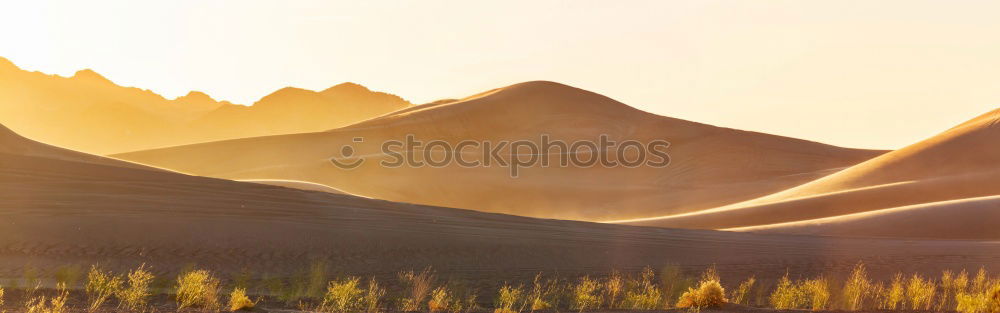 Walking on a dune shadow