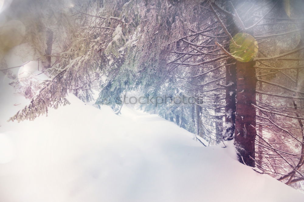 Similar – Image, Stock Photo Mountain road through piles of snow