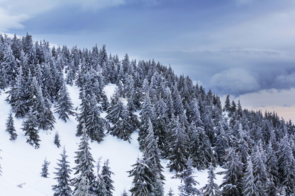 Similar – View from the Unterberg to the foothills of the Alps