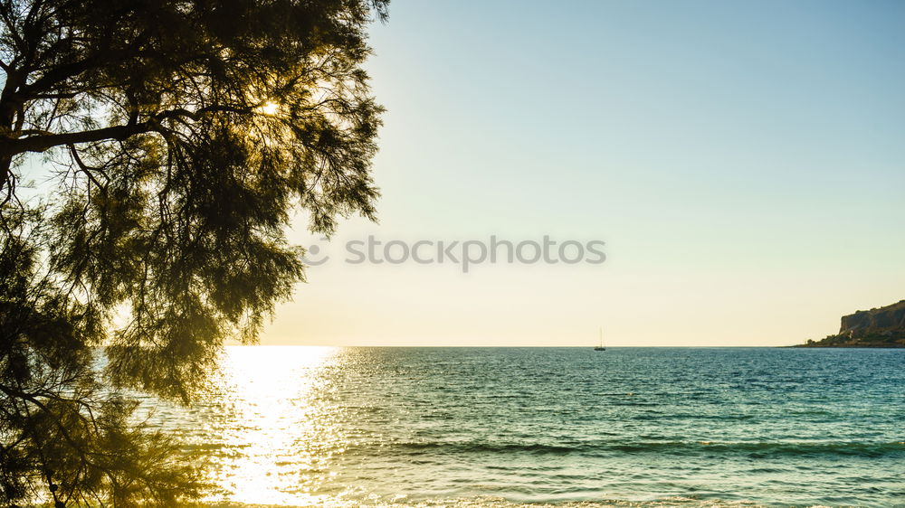 Similar – Olive trees, sea and sunset.