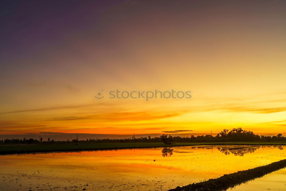 Similar – Foto Bild Sonnenuntergang im Okawango Delta
