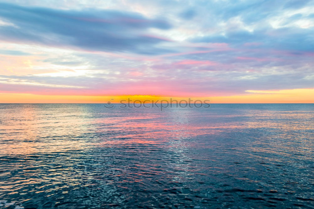 Similar – Image, Stock Photo The early fish Harmonious