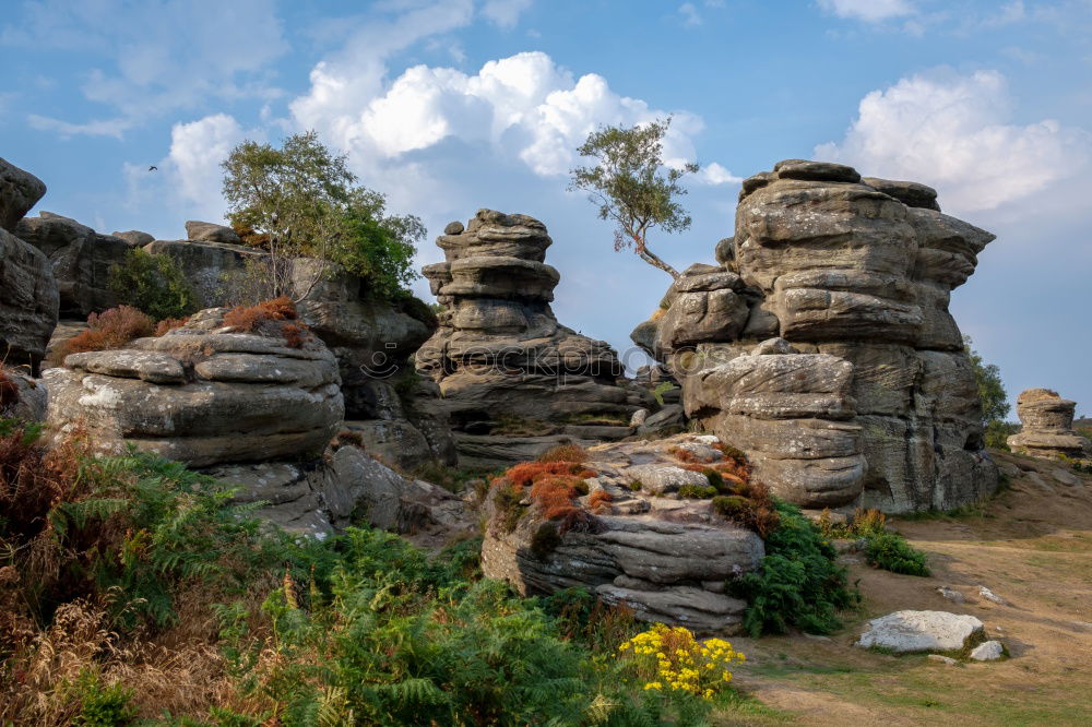 Similar – Foto Bild Ruinen Ruinen von Phaselis