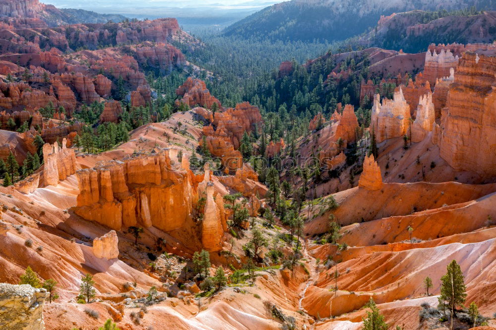 Similar – Bryce Canyon View