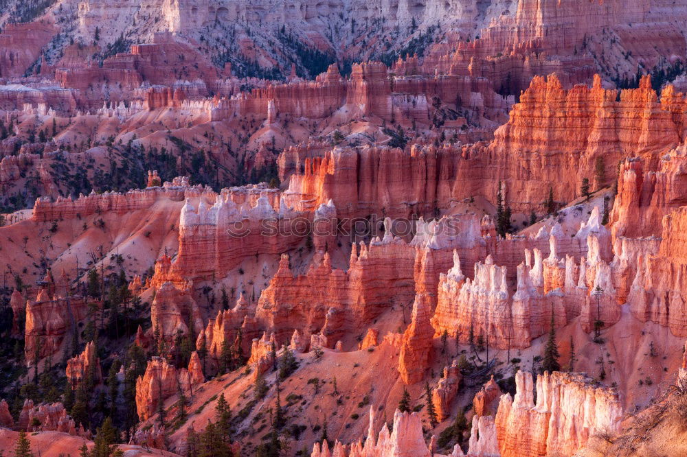 Similar – Bryce Canyon View