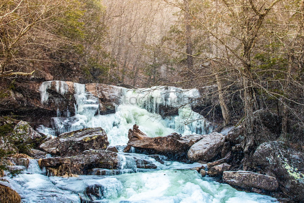 Similar – Image, Stock Photo frost Nature Landscape