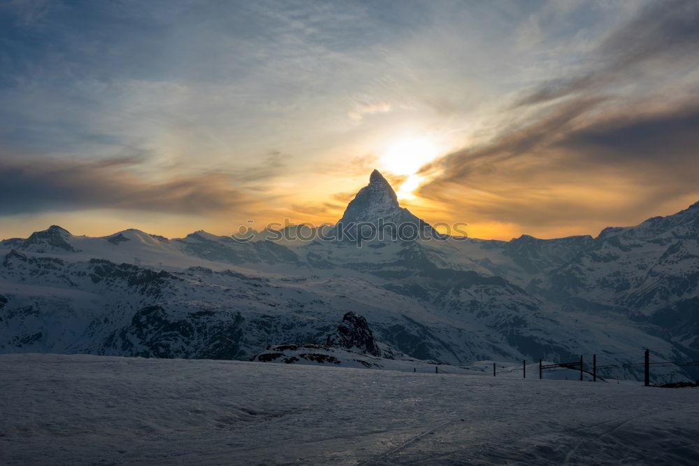 Similar – Image, Stock Photo matte horn Colour photo