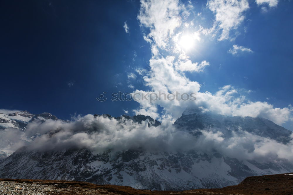 Similar – Image, Stock Photo winter magic Nature