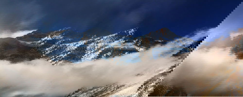 Similar – Image, Stock Photo Mountain meadow on the Matterhorn