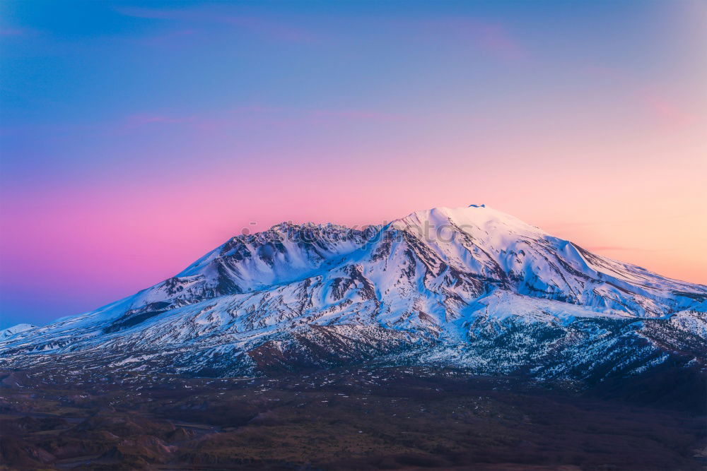 Similar – Image, Stock Photo morning glory Environment