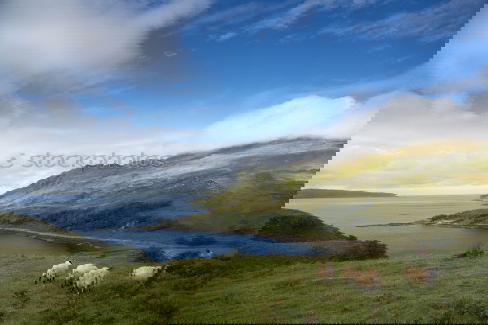 Similar – Image, Stock Photo Scotland I Nature