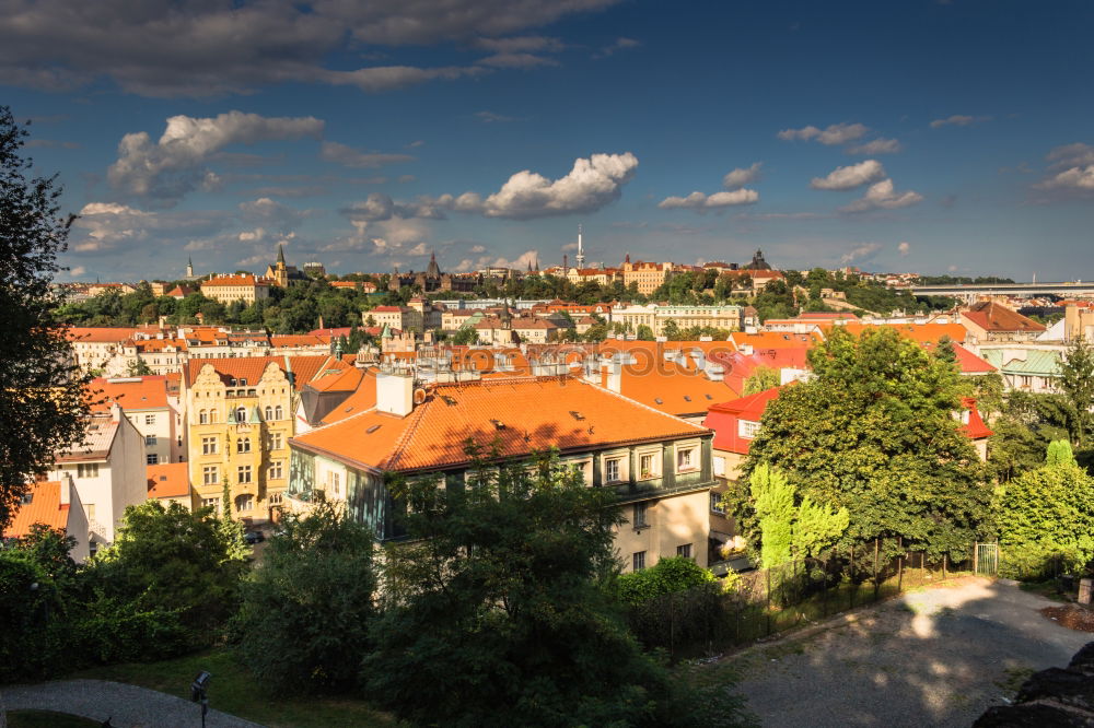 Similar – NATURE IN PRAGUE Prague