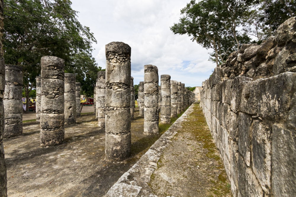 Similar – Image, Stock Photo Palenque, Mexico