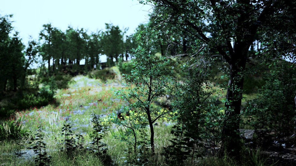 Similar – Foto Bild Zeitzonen Pflanze Gras