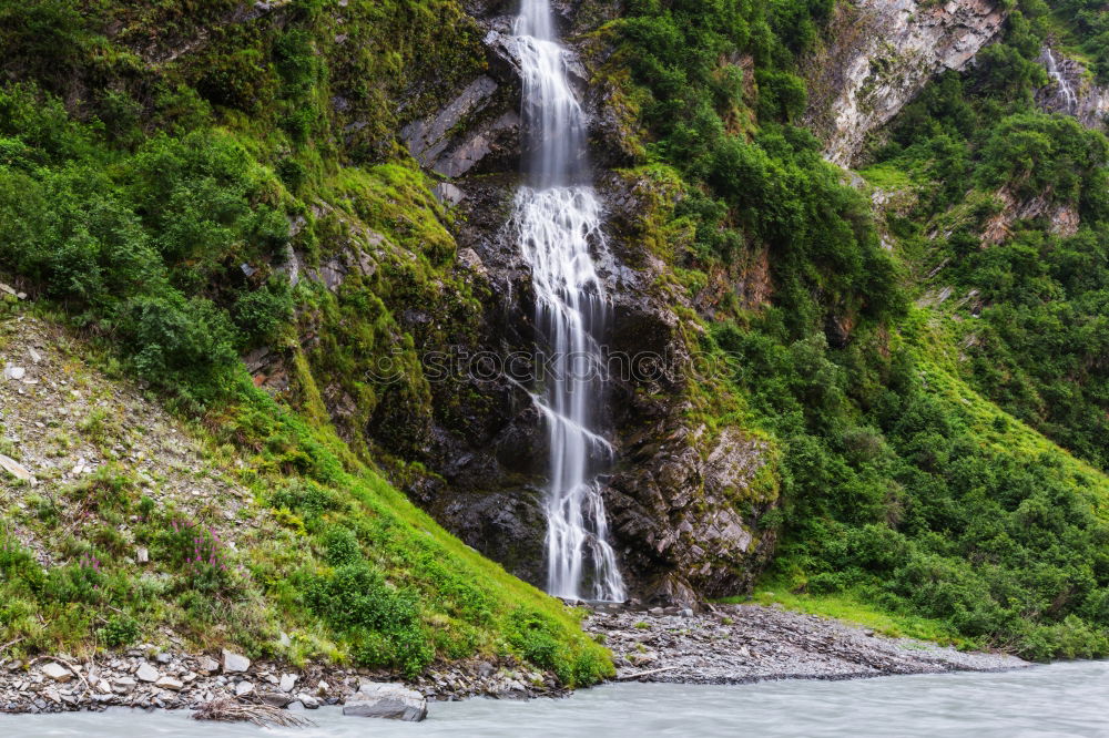 Similar – milford sound Environment