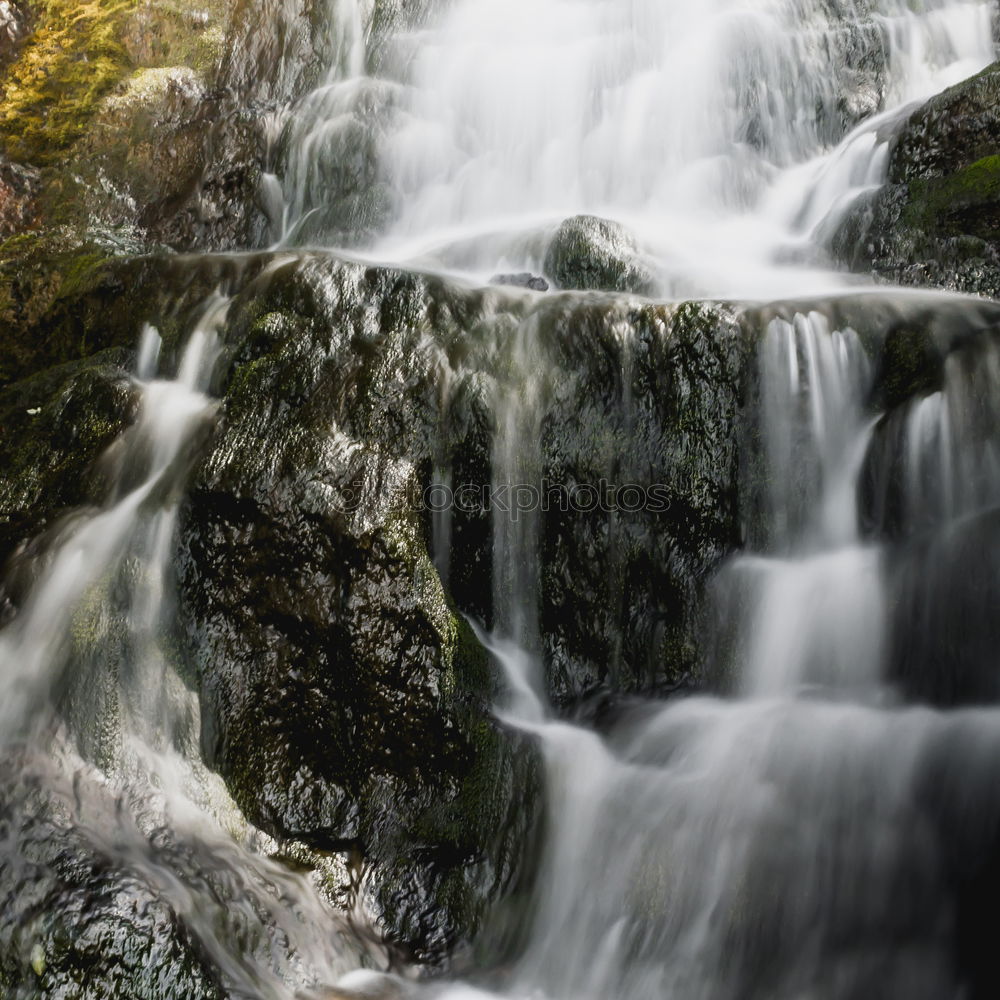 Similar – Image, Stock Photo Small mountain river River
