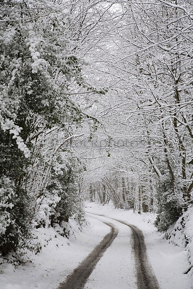 Similar – Winter fog on the footpath