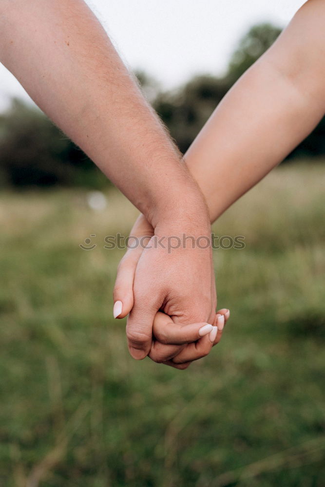 Similar – Image, Stock Photo Legs of a beautiful young family