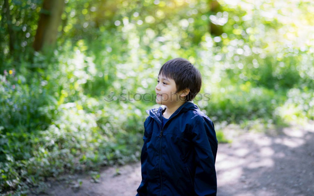 Similar – Image, Stock Photo For you soll´s rain colorful pictures!