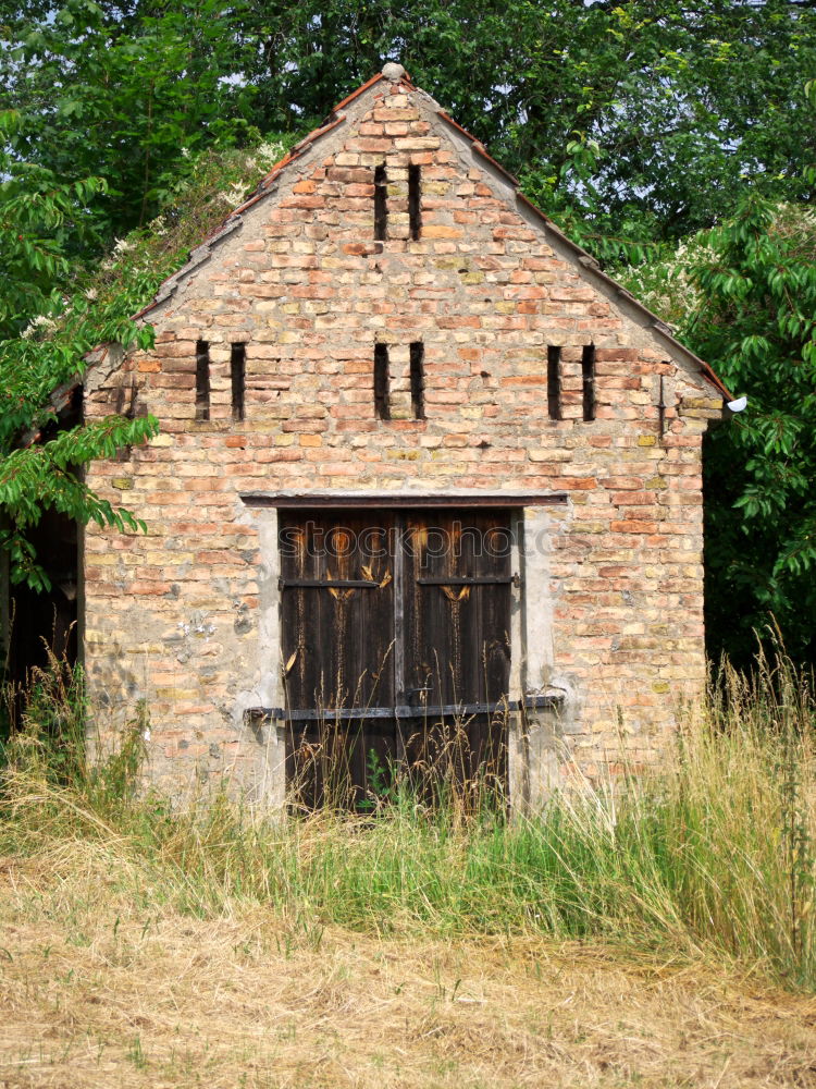 Similar – Foto Bild Hütte Holz Gras grün braun