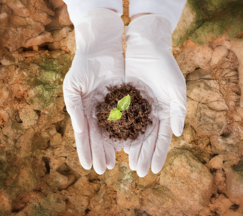 Similar – Image, Stock Photo Udanks uprooted Hand