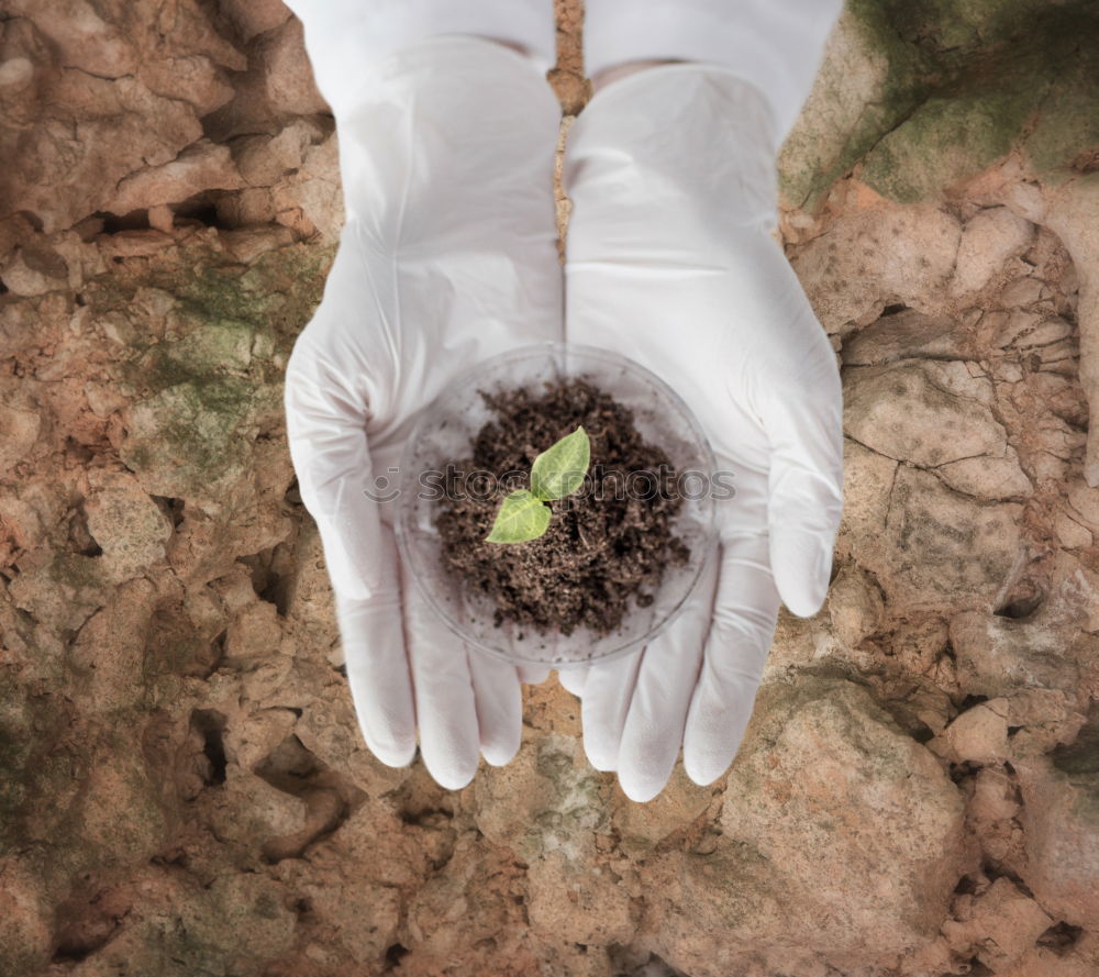 Similar – Image, Stock Photo Udanks uprooted Hand