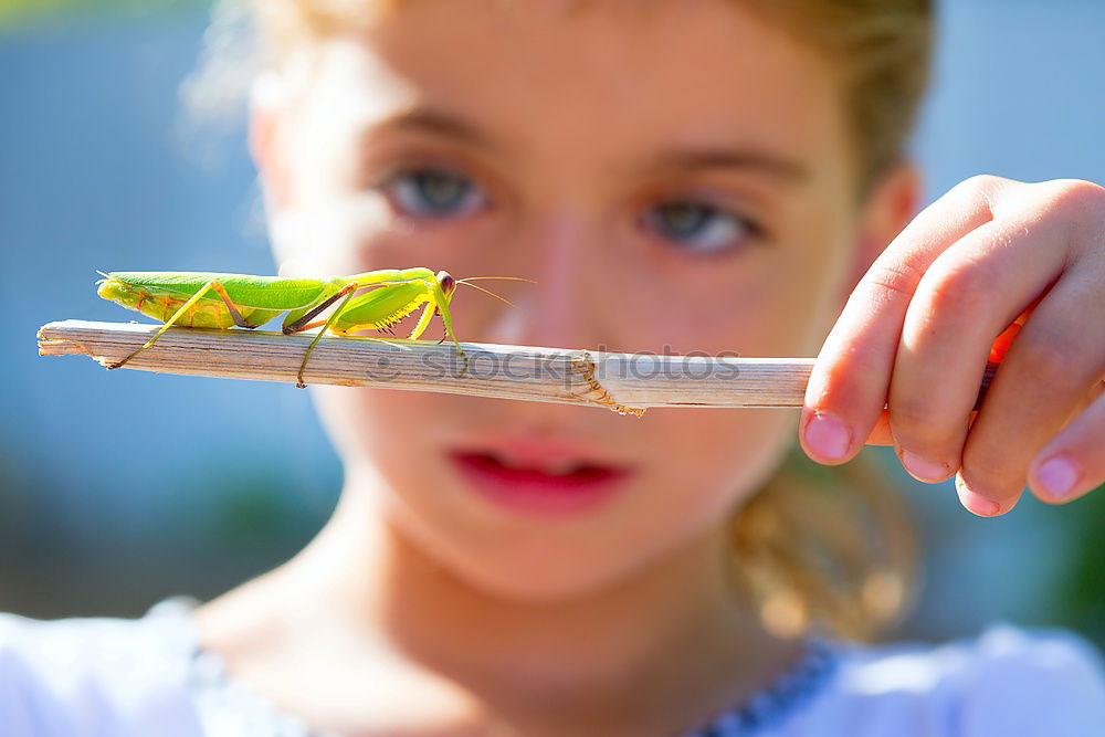 Similar – Image, Stock Photo Nina and the Butterfly