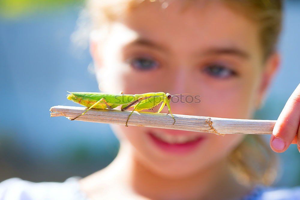 Similar – Image, Stock Photo THE BEAUTIFUL AND THE BEAST