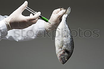 Similar – Image, Stock Photo Fish is´ all, baby! Food