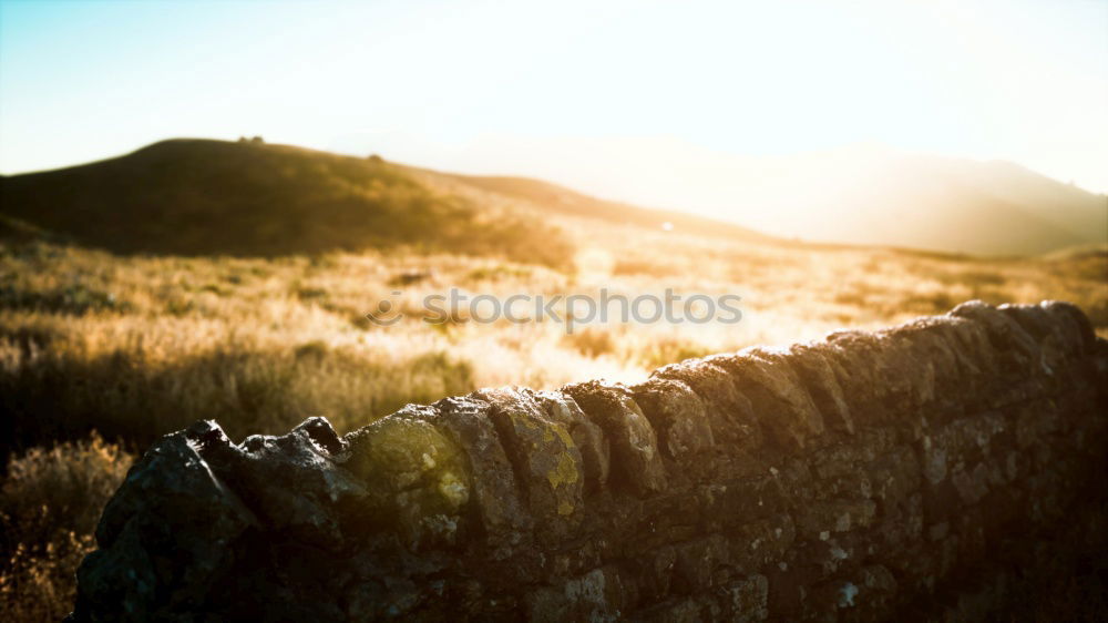 Similar – Image, Stock Photo übernBerg Meander Bicycle