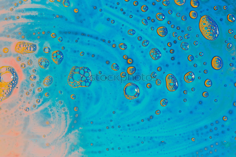 Similar – Image, Stock Photo jellyfish Environment