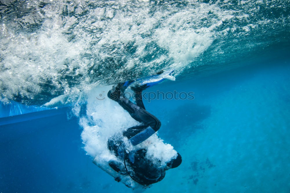 Similar – Image, Stock Photo jumpers Refreshment Jump